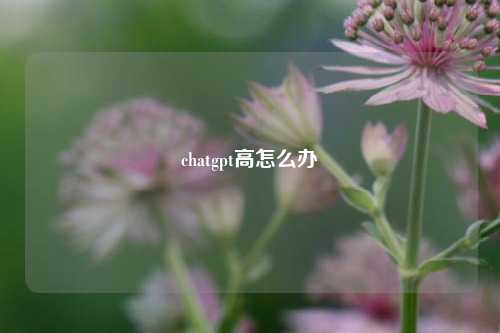 chatgpt高怎么办