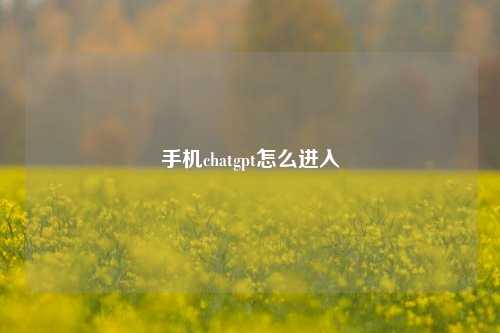 手机chatgpt怎么进入