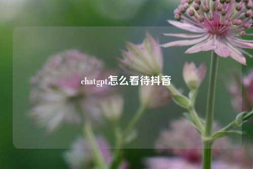 chatgpt怎么看待抖音