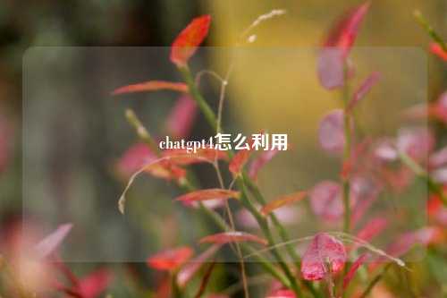 chatgpt4怎么利用